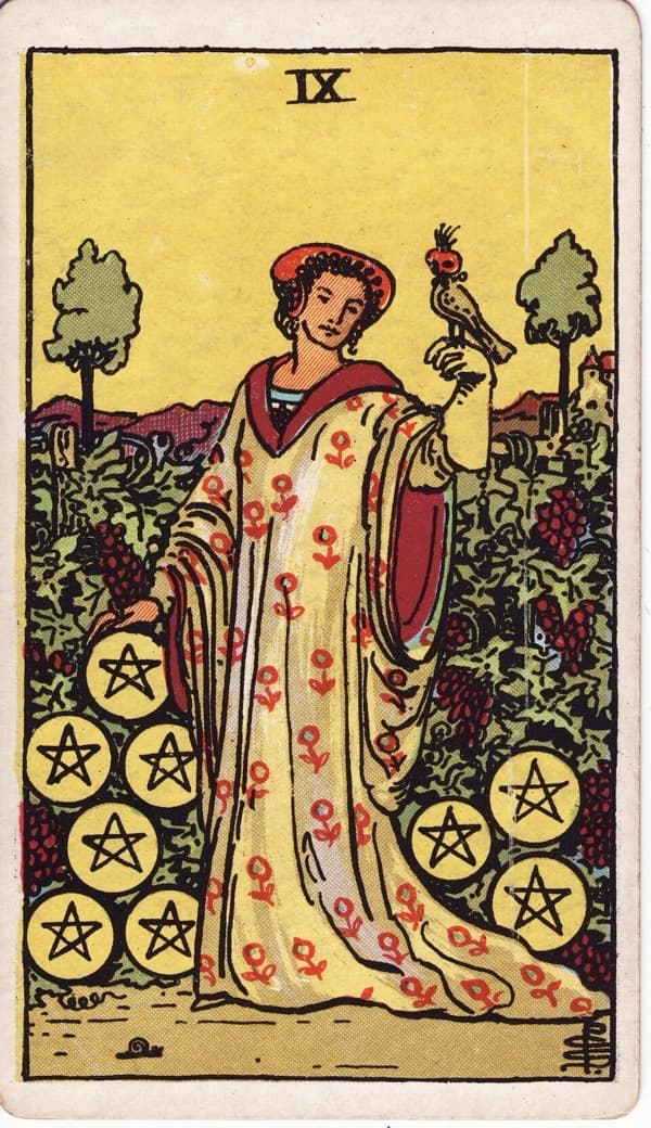 Nine of Pentacles tarot card, Rider-Waite-Smith deck