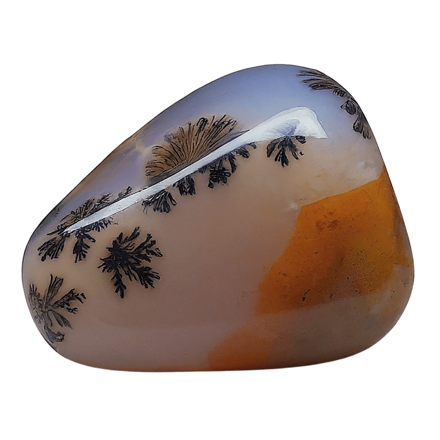 Dendritic Agate tumbled stone