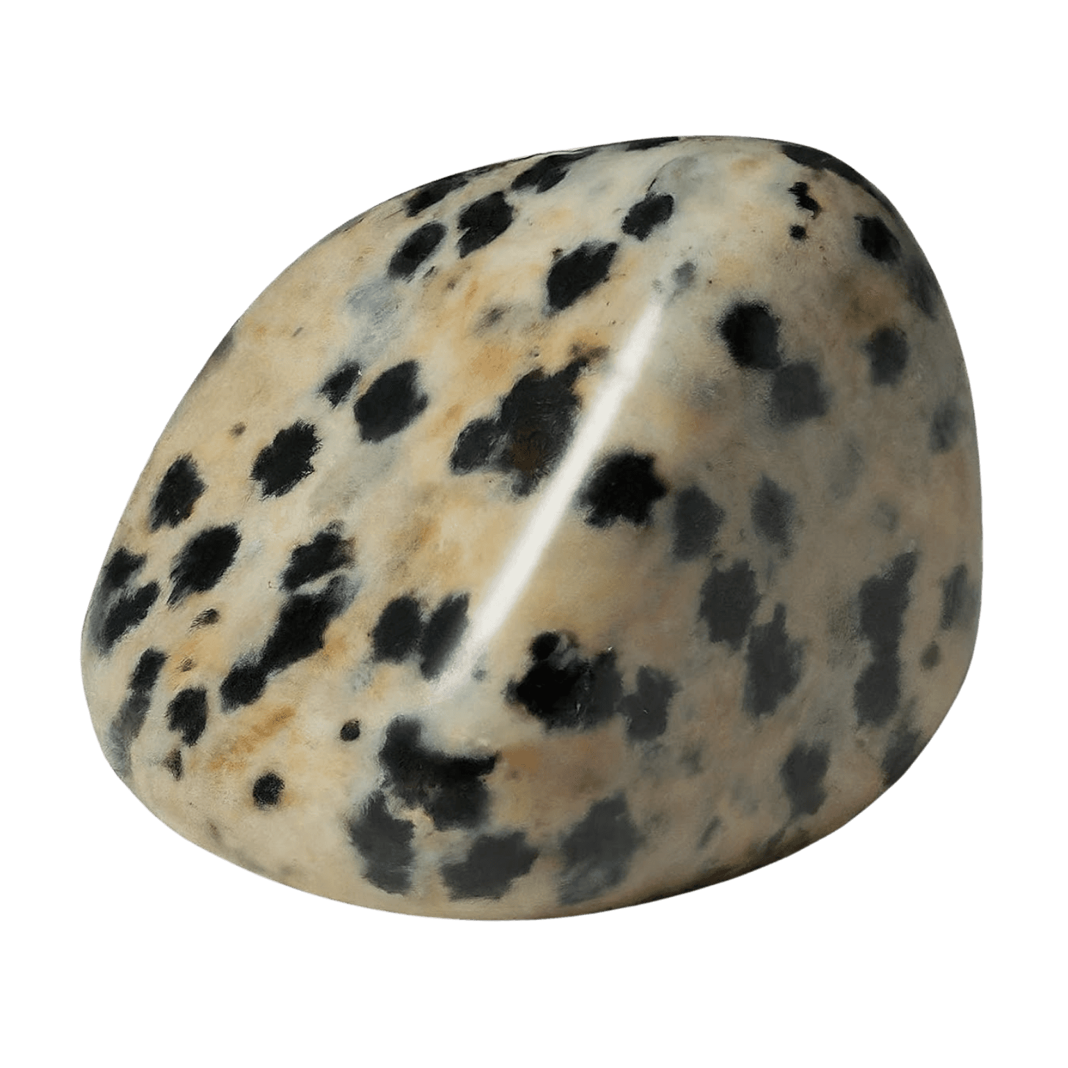 Dalmatian Jasper crystal